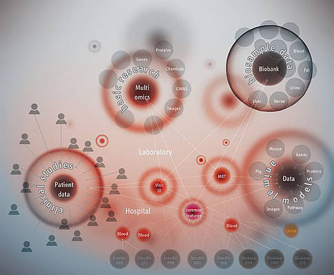 Diabetesforschung nutzt Neo4j 