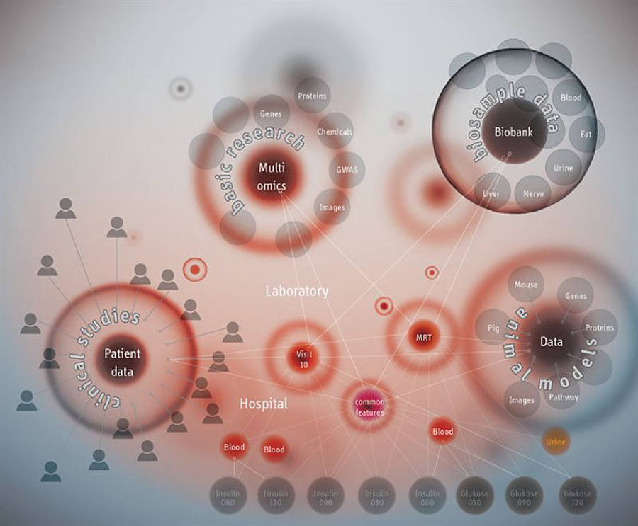 Diabetesforschung nutzt Neo4j 
