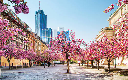 Frankfurt
