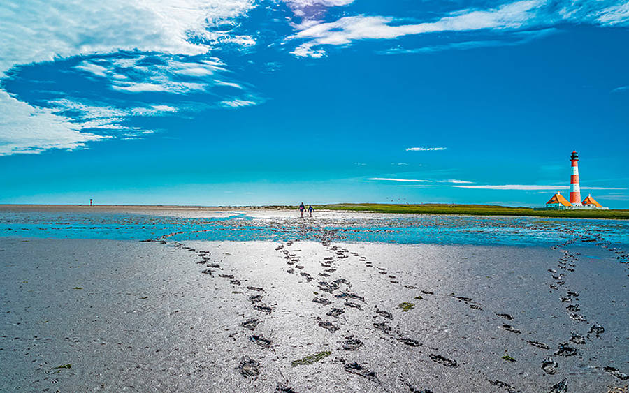 Das Wattenmeer