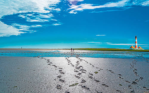 Das Wattenmeer