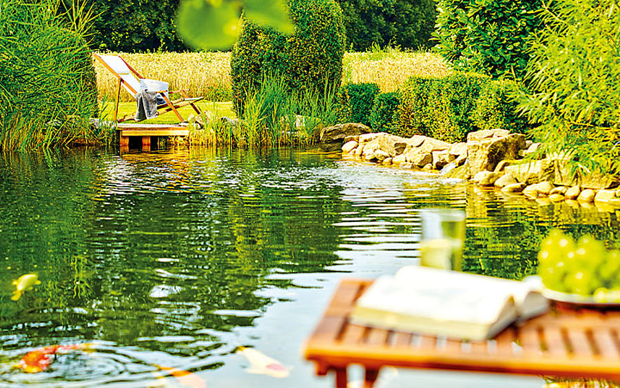 Gartenteich