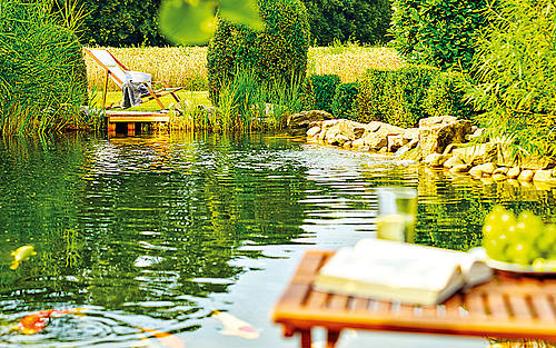 Gartenteich