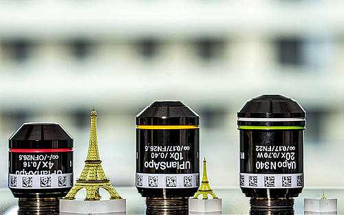 Im 2PP-Verfahren hergestellte Eiffelturmmodelle