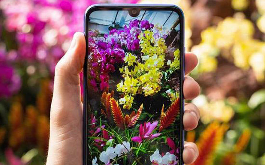 Redmi Note 7