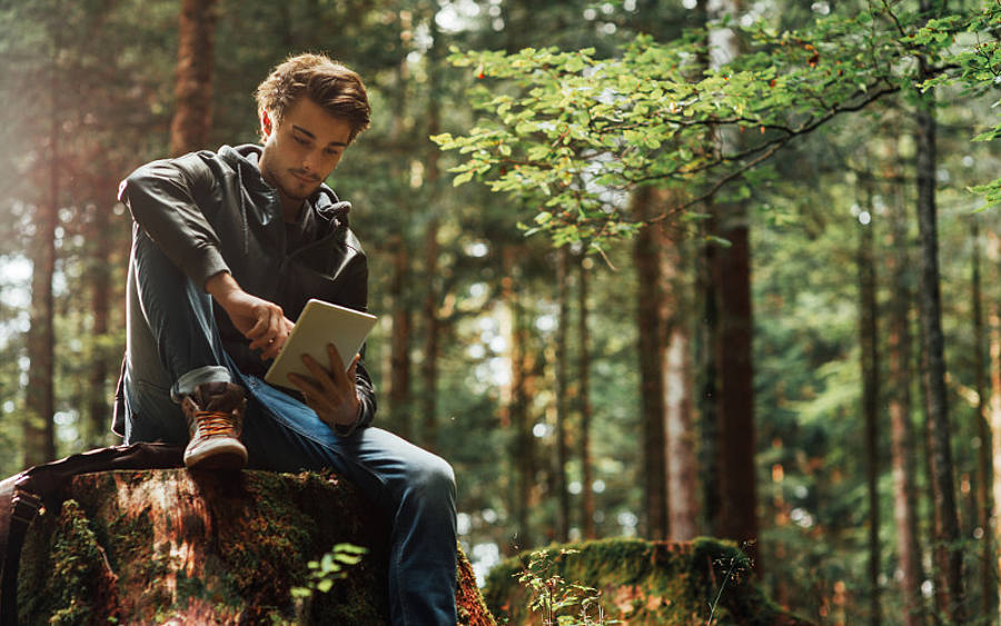 Junger Mann surft im Wald