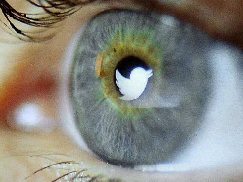 Twitter hat wohl mehr als ein Jahr lang Nutzerdaten mit Werbekunden geteilt. ((Foto: Daniel Reinhardt))
