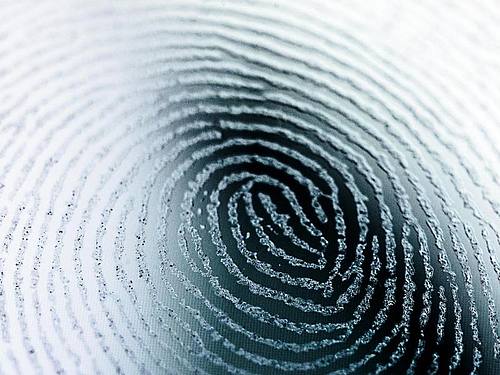 Stilisiertes Bild eines Fingerabdrucks