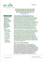 Whitepaper SAP Mint Jutras